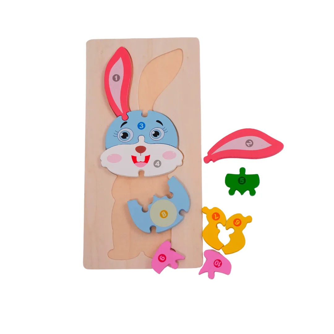 1 Wooden Puzzle for Kids(Random design will be send)