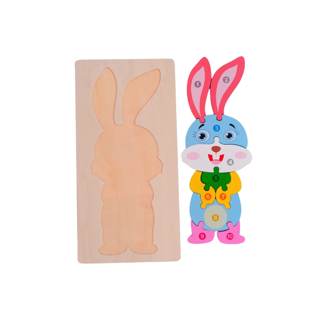 1 Wooden Puzzle for Kids(Random design will be send)