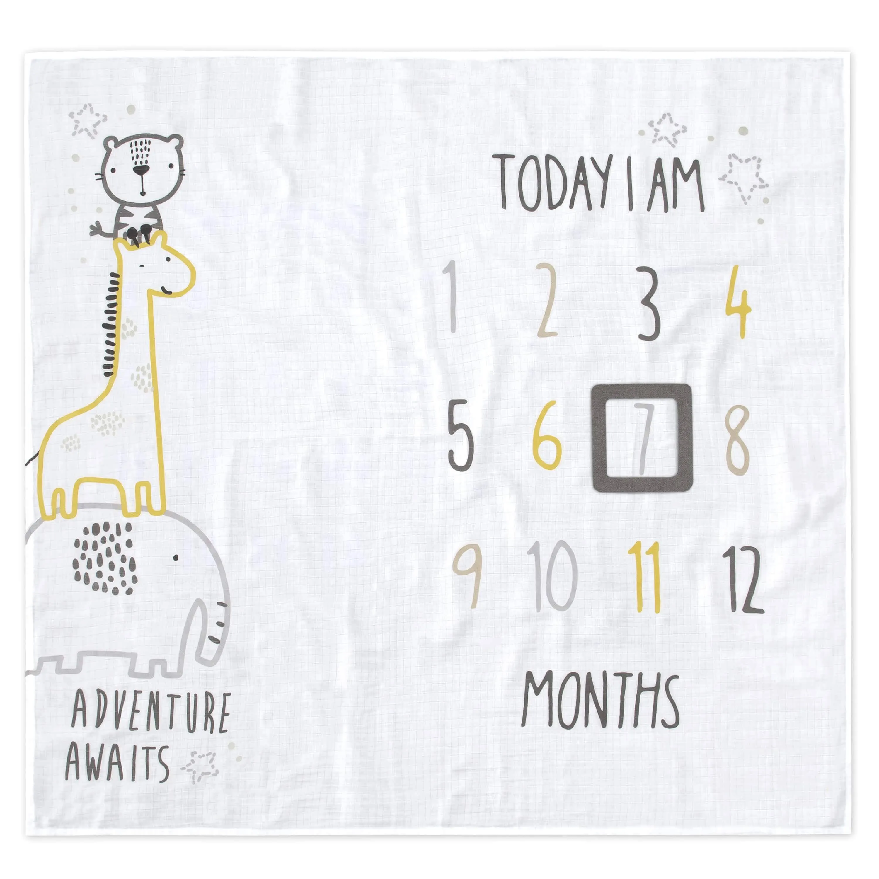 2-Piece Baby Boys Adventure Awaits Milestone Blanket Set