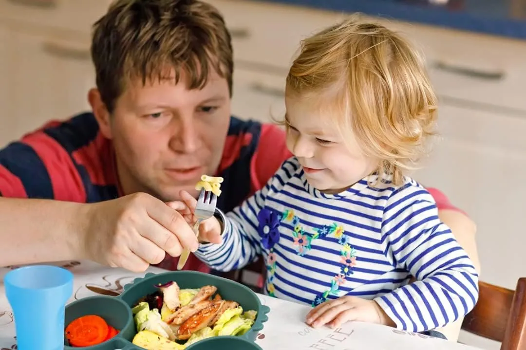 9 PCS Food Plate Set with Cup and Wooden Spoon for Early Educational Feeding