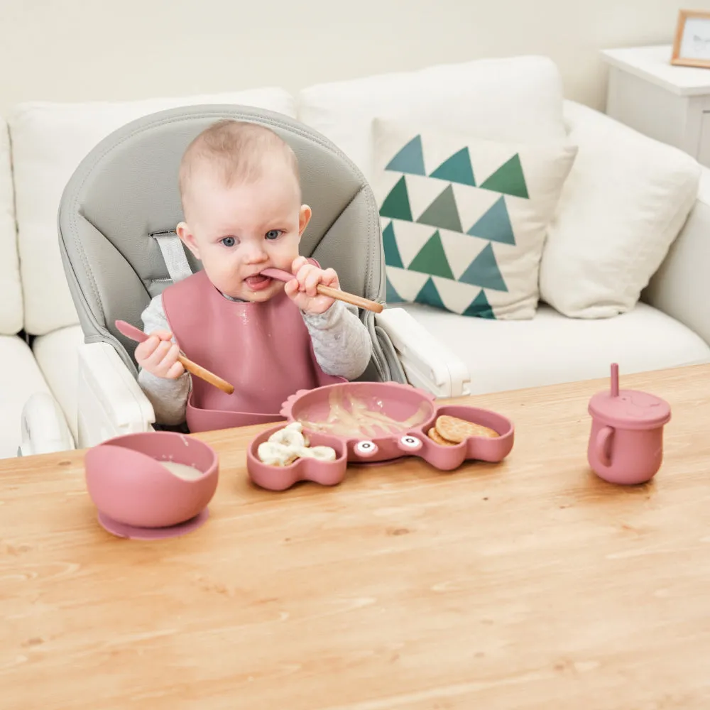 9 PCS Food Plate Set with Cup and Wooden Spoon for Early Educational Feeding