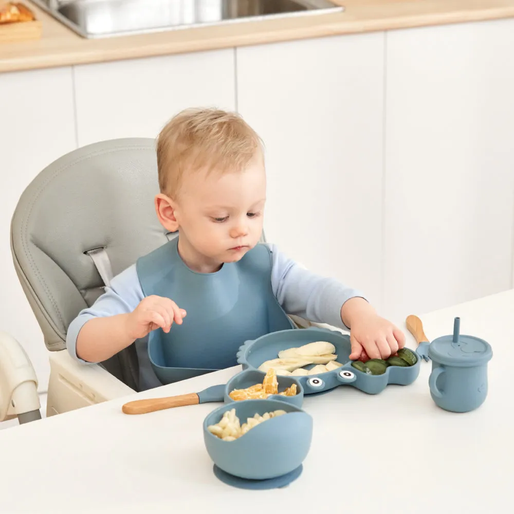 9 PCS Food Plate Set with Cup and Wooden Spoon for Early Educational Feeding