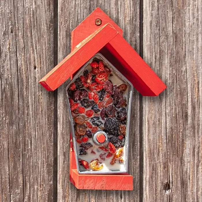 Birdie Bistro DIY Bird Feeder, 3 Colors to Choose