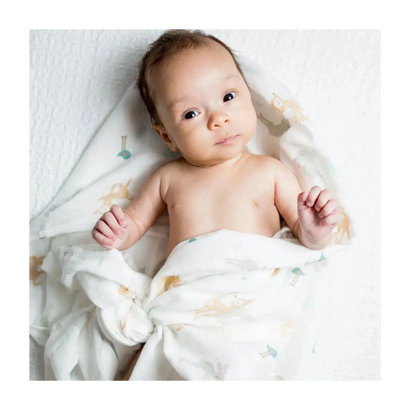 Cotton Muslin Swaddle - Little Fawn | Lulujo