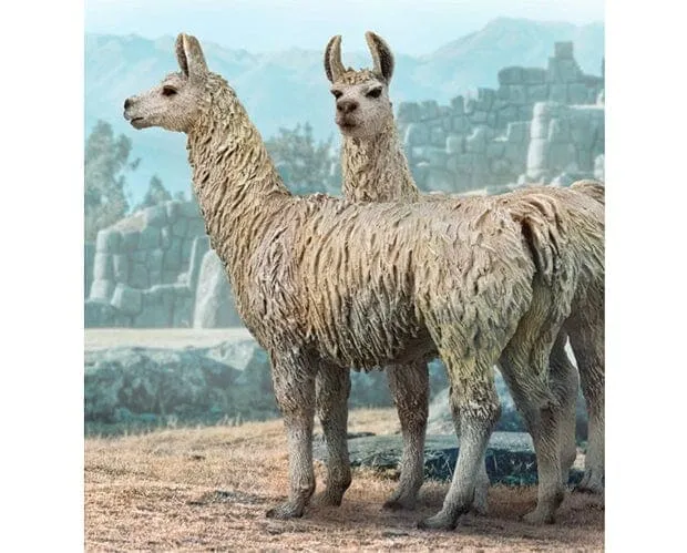 Llama